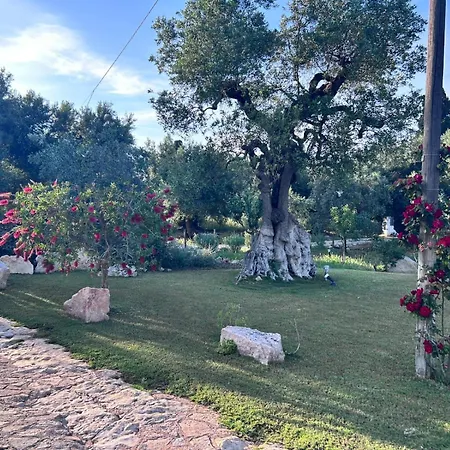 Casa Trullo Di Charme With Pool *